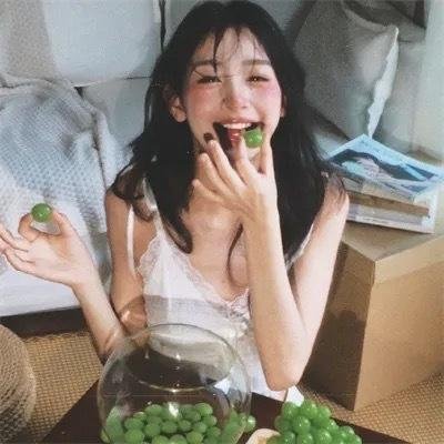 嘉南传